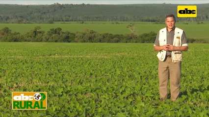 Abc Rural: Cría de ganado pese a 8 meses de sequía en el Chaco