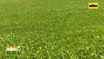 Abc Rural: Soja Great Seeds en con tolerancia a sequía (II)
