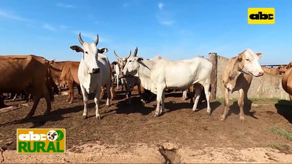 Abc Rural: Noticias internacionales