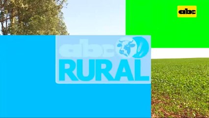 Soja Great Seeds en con tolerancia a sequía (I)