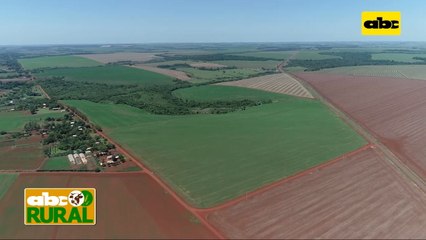 Abc Rural: Qué son los bioestimulantes y como actúan en la soja