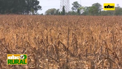 Abc Rural: Apoyo con paquetes tecnológicos en agricultura