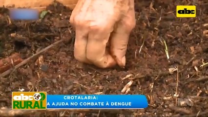 Informaciones Rurales