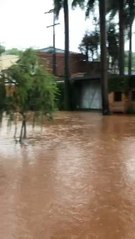 El Dorado vuelve a llenarse de raudales