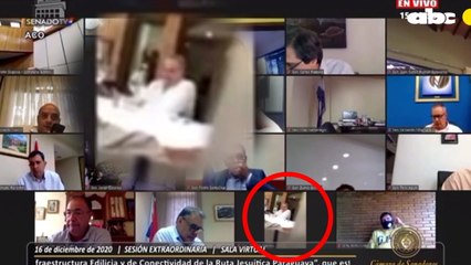 Óscar González Daher y Horacio Cartes, reunidos con Antonio Barrios durante sesión virtual de Senado.