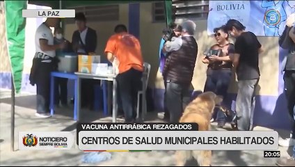 La Paz: vacunación antirrábica para mascotas continúa en centros de salud y la Casa de la Mascota