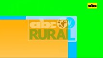 Abc Rural: Creación de variedades de soja