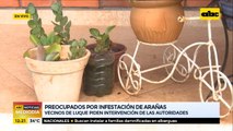 Salud deslinda responsabilidad tras muerte por picadura de araña
