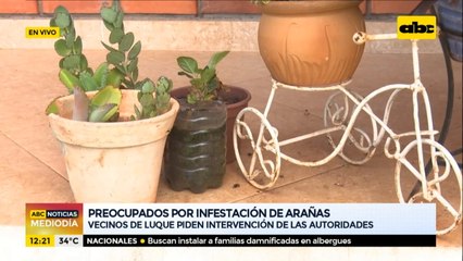 Salud deslinda responsabilidad tras muerte por picadura de araña