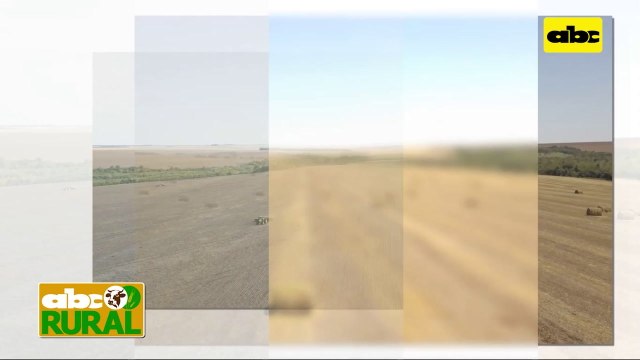 ABC Rural: Implementación integral de Buenas Prácticas Agrícolas en Katueté - Segunda parte