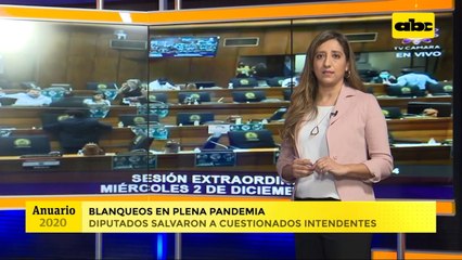 Anuario 2020: blanqueos y creación de nuevos distritos en Diputados, en plena pandemia
