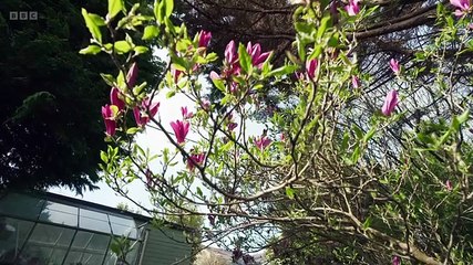 Escape to the Country Season 26 Episode 17