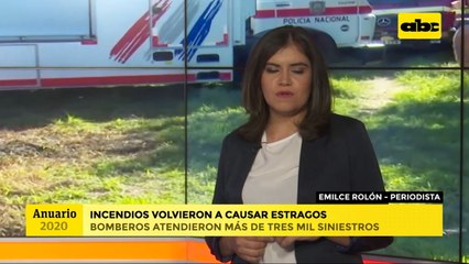 Anuario 2020: incendios y contaminación ambiental marcaron a este año