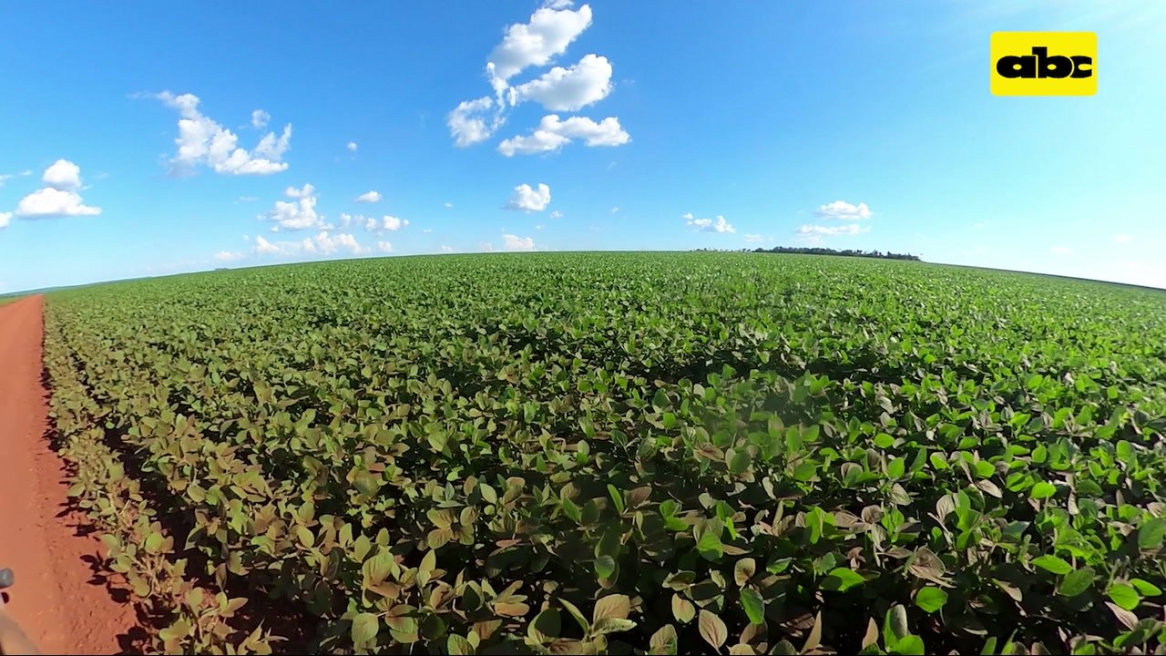 ABC Rural: Implementación integral de buenas prácticas agrícolas en ...
