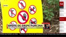 España pide calma ante brote de gripe porcina y refuerza medidas sanitarias