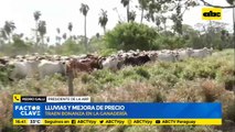 Lluvias y mejora de precio traen bonanza en la ganadería