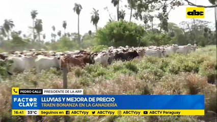 Lluvias y mejora de precio traen bonanza en la ganadería