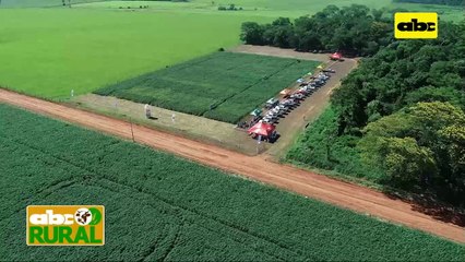 ABC Rural: ALAG y sus variedades TMG en Friesland