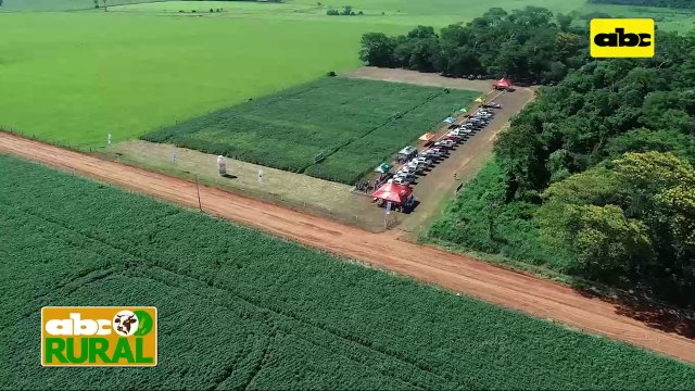 ABC Rural: ALAG y sus variedades TMG en Friesland