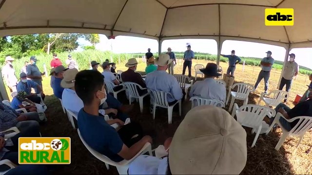 ABC Rural: En Friesland las variedades Monsoy dijeron presente