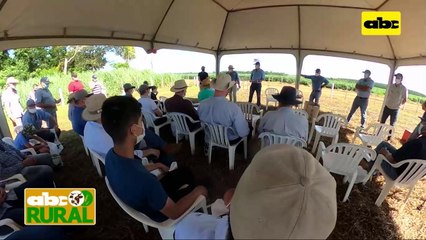 ABC Rural: En Friesland las variedades Monsoy dijeron presente