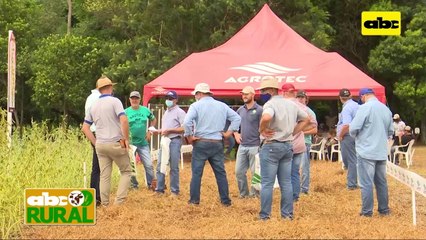 ABC Rural: Great Seeds en Friesland