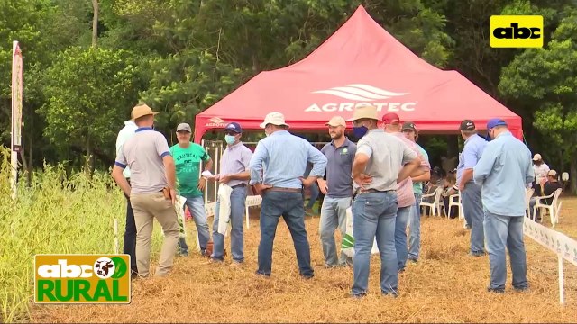 ABC Rural: Great Seeds en Friesland