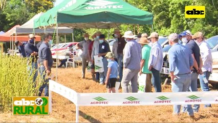 ABC Rural: Variedades de soja de Agrotec en Friesland