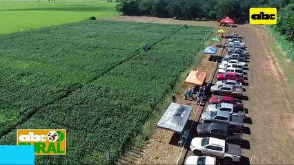 ABC Rural: Inbio presente en Friesland con variedades Sojapar