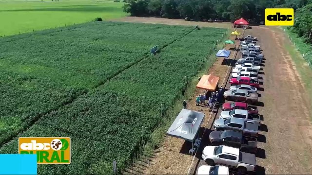 ABC Rural: Inbio presente en Friesland con variedades Sojapar