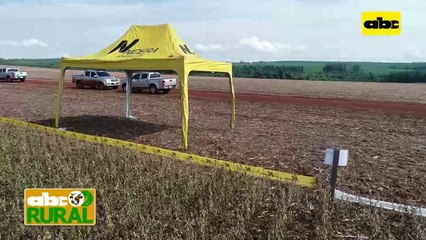 ABC Rural: Nidera y sus variedades en jornada de campo en Copronar