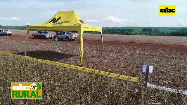ABC Rural: Nidera y sus variedades en jornada de campo en Copronar