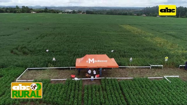 ABC Rural: Presentación de variedades Monsoy para zona Itapúa