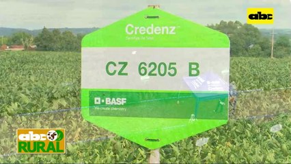 ABC Rural: BASF y su nueva variedad de soja para Itapúa