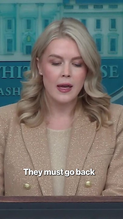 Leavitt demands action after alleged massive immigration fraud