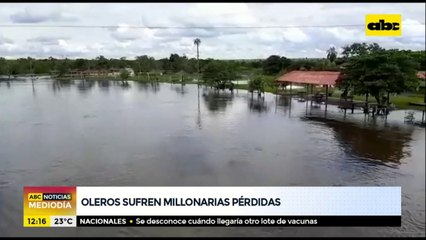 Oleros sufren millonarias pérdidas