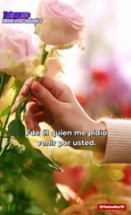 La esposa que nunca conocio [Sub Español]