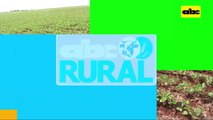ABC Rural: Productos biológicos de Forbio para diversas etapas en agricultura