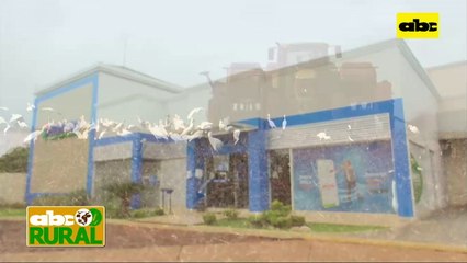 ABC Rural: Bancop en Agroshow Copronar, acompañando a productores