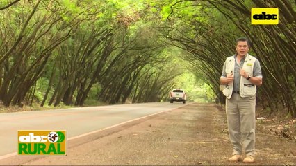 ABC Rural: Balanceado Pasto Guasu ayudó a salvar animales