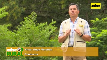 ABC Rural: Fertilización de base y de Sistemas, para buen desarrollo de cultivo