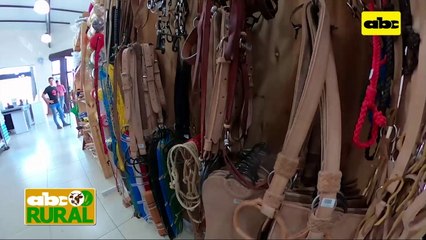 ABC Rural: Panorama ganadero en el Chaco tras la sequía