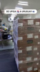 Primera exportación de carne de cerdo al Uruguay