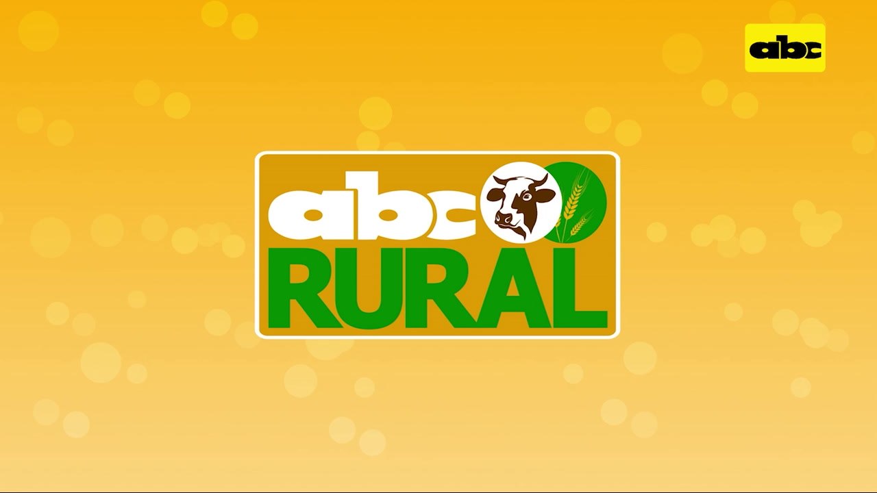 ABC Rural: Destete precoz de terneros durante sequía en La Patria, Chaco