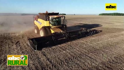 ABC Rural: Preocupación por venta de semillas no certificadas o ilegales