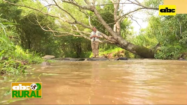 ABC Rural: Cría de Santa Inés y manejo de hembras en gestación