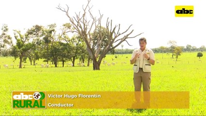 ABC Rural: BASF y sus nuevos productos contra roya y otras enfermedades