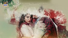 Biryani ep 32 Pakistani drama