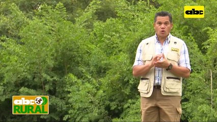 ABC Rural: Transición de ganadería tradicional, a ganadería y agricultura intensiva