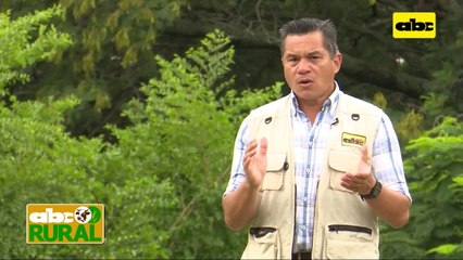 ABC Rural: Trabajos de perforación de pozos artesianos